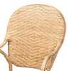 Baxton Studio Genna Modern Bohemian Natural Brown Finished Rattan Dining Chair 205-12675